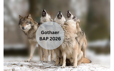 Beitragsanpassungen der Gothaer 2026