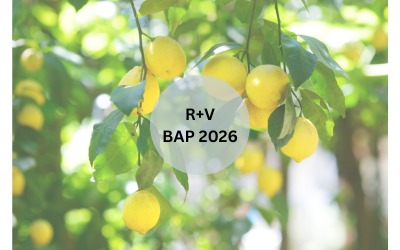 Beitragsanpassungen der R+V 2026